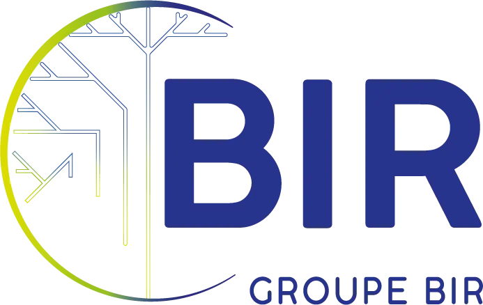 BATIMENT INDUSTRIE RESEAUX (BIR)