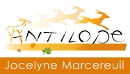 ANTILOPE