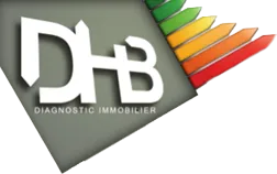 DIAGNOSTICS HABITATIONS ET BATIMENTS (DHB)