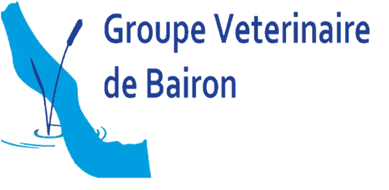 GROUPE VETERINAIRE DE BAIRON