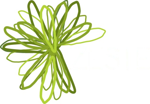 ZESTE