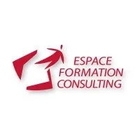 FORMATION CONSULTING