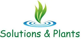 SOLUTION AND PLANTS