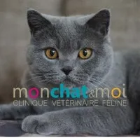 MCM NANTES