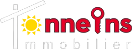TONNEINS IMMOBILIER