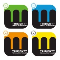 TRIDENTT 080 (TRIDENTT TRAVAIL TEMPORAIRE)