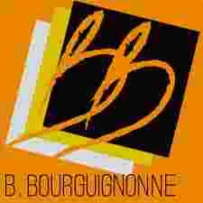 F.M BOURGUIGNON