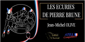 EARL LES ECURIES DE PIERRE BRUNE