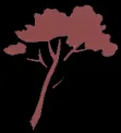 SOCIETE COOPERATIVE AGRICOLE DE VINIFICATION LES CAVES DE L'ESPERANCE