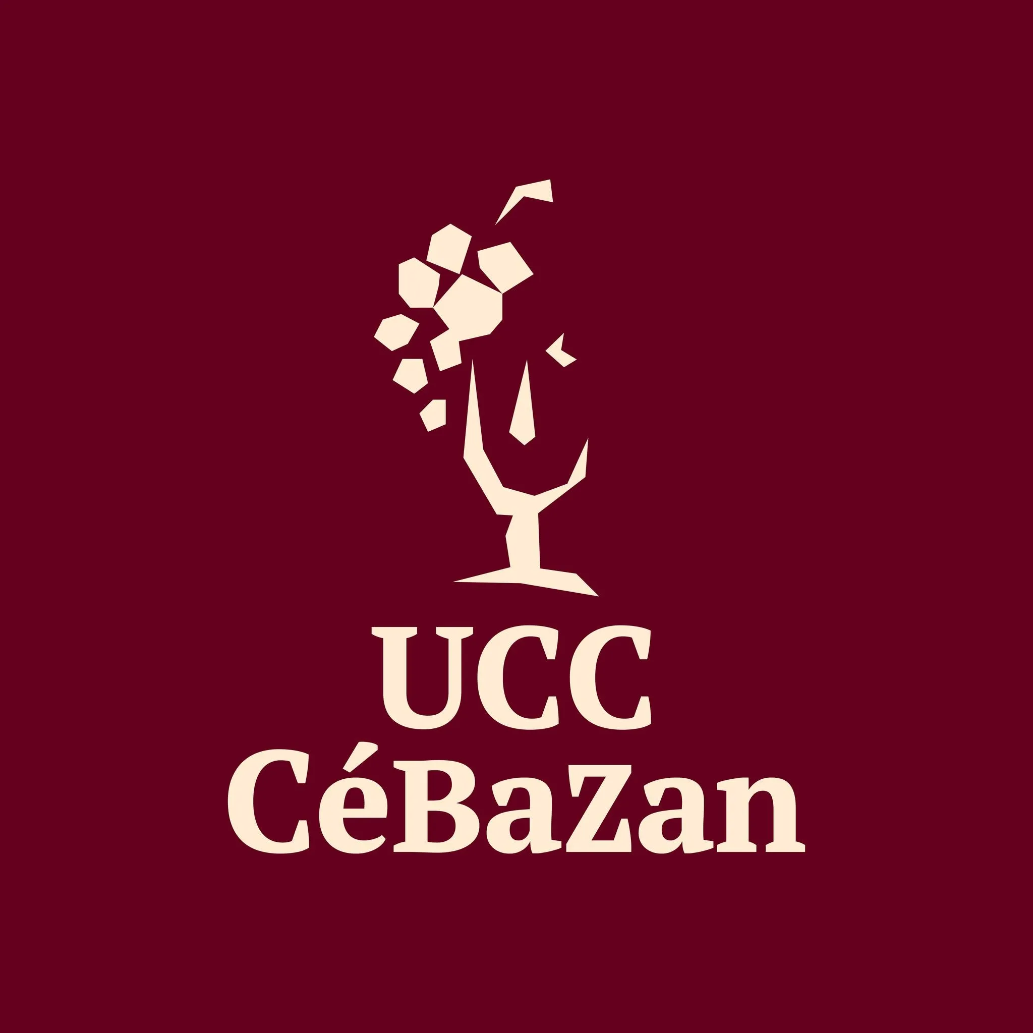 UNION CAVES COOPERIVES SECT ST CHINIAN