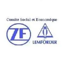 ZF LEMFORDER METAL FRANCE