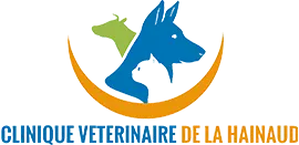 CLINIQUE VETERINAIRE DE LA HAINAUD