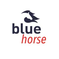 BLUE HORSE GROUP