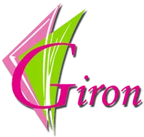 GIRON TRAITEUR SARL