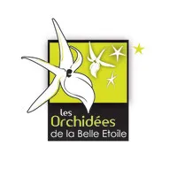 LES ORCHIDEES DE LA BELLE ETOILE
