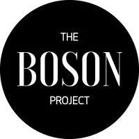 THE BOSON PROJECT