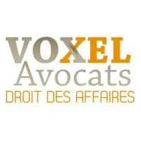 VOXEL