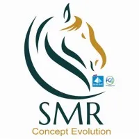 SMR CONCEPT EVOLUTION