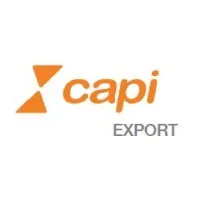 CAPI EXPORT