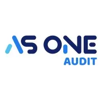 AS ONE AUDIT