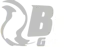 BCGRAPHICS (BC)