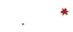 SASU LE COMPTOIR