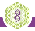 OM'QUANTALLYA