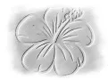 HIBISCUS EVENEMENTS &VOYAGES