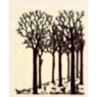 OAK GROVE INTERNATIONAL