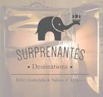VOYAGE DESIRABLE (SURPRENANTES)