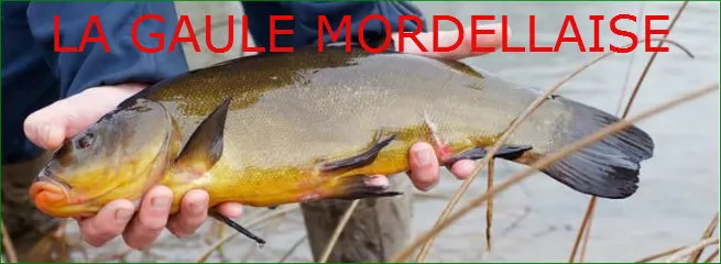 LA GAULE MORDELLAISE