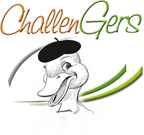 CHALLENGERS