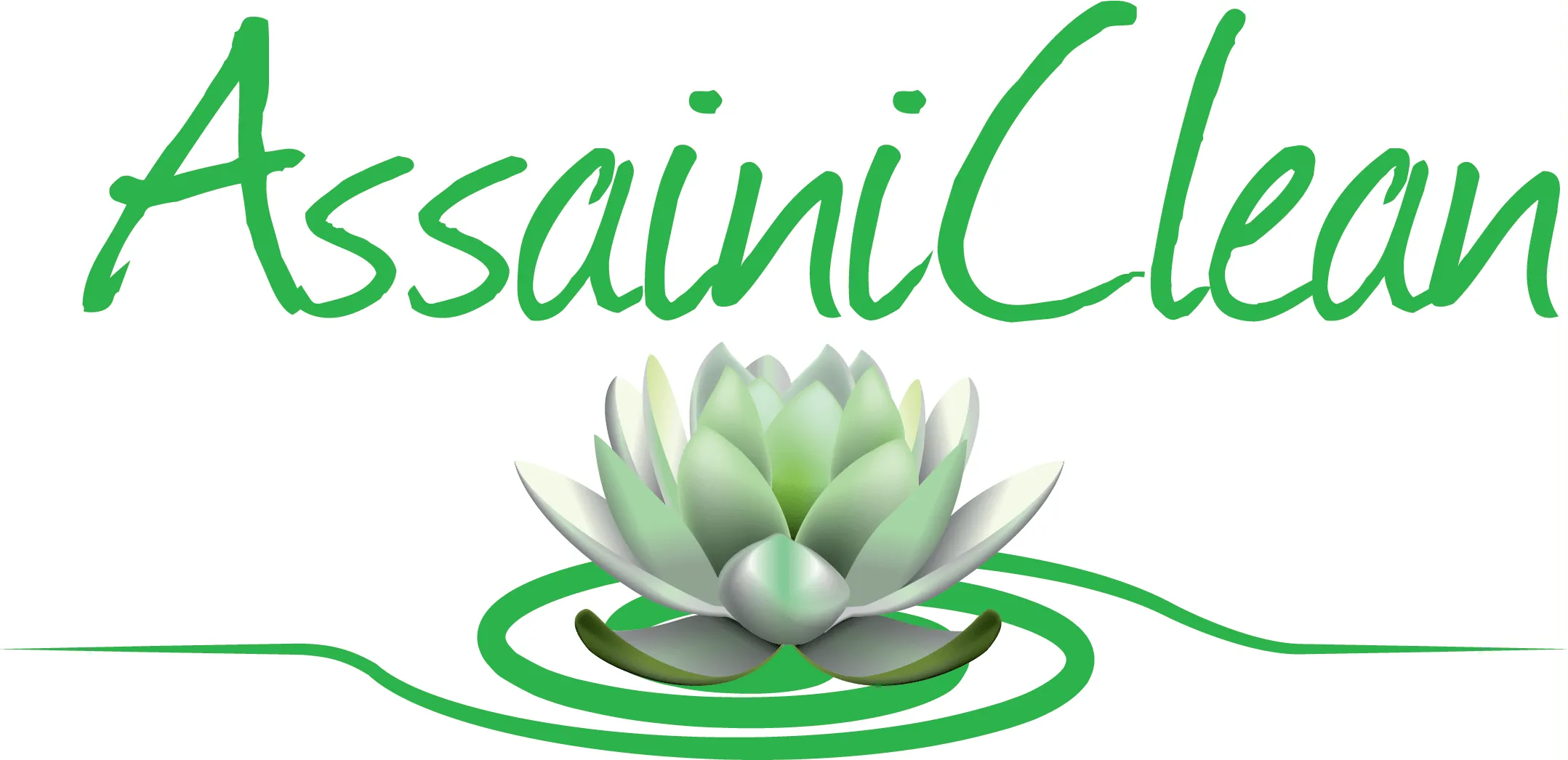 ASSAINICLEAN