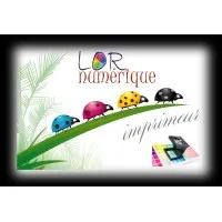 LOR'NUMERIQUE