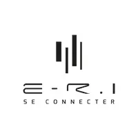 E-R.I (EXPERTISE ROANNE INFORMATIQUE)