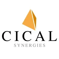 CICAL SYNERGIES