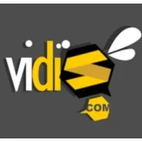 VIDIS COMMUNICATION