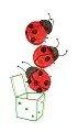 L'ODYSSEE DES COCCINELLES