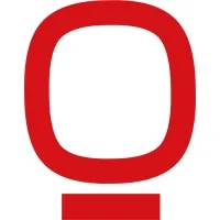 SOFT SYSTEMS GROUP