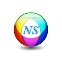 NUMERIQUE SERVICES