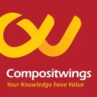 COMPOSIT WINGS