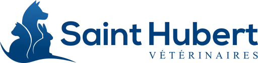 CLINIQUE VETERINAIRE SAINT HUBERT