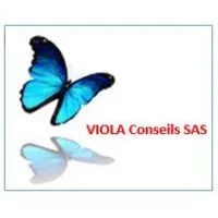 VIOLA CONSEILS