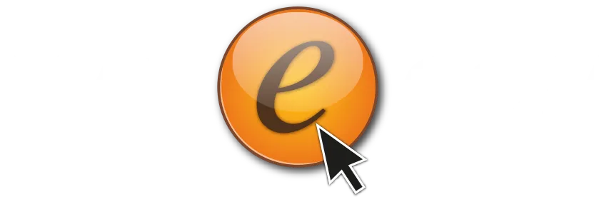 MAX-ECOM