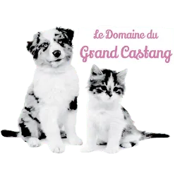 LE GRAND CASTANG