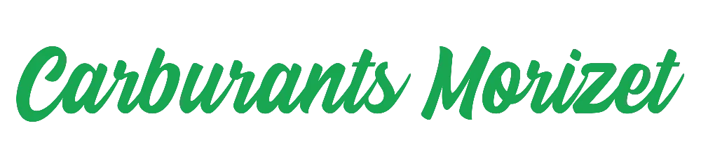 CARBURANTS MORIZET
