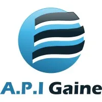 A.P.I. GAINE