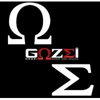 INTRUSION GOZZI SECURITE