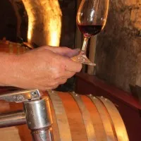 LA CAVE DU CHAIGNOT