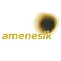 AMENESIK (AMENESIK)